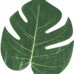 Fun Express FX IN-70/1514 Tropical Leaves (Pack of 12), 8"